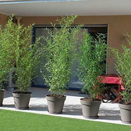 Colore Di Mare Appartamento Cavalaire-sur-Mer